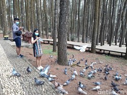 Anak di Bawah 12 Tahun Kecewa Ditolak Masuk Obyek Wisata, Ini Solusinya