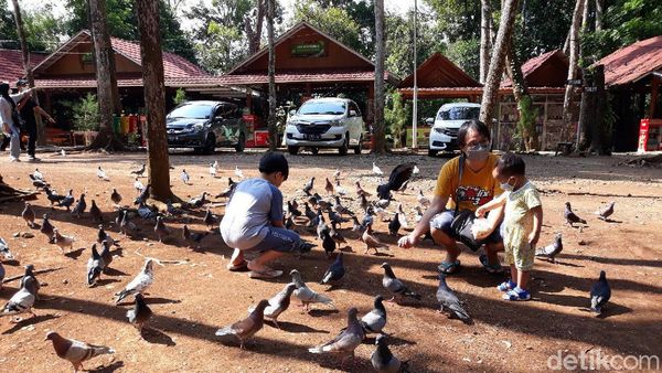 Anak di Bawah 12 Tahun Dilarang Masuk Obwis, Pengelola: Main Burung Saja