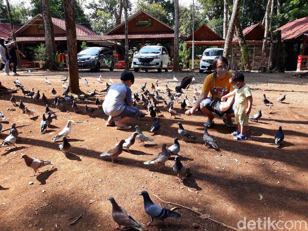 Anak di Bawah 12 Tahun Dilarang Masuk Obwis, Pengelola: Main Burung Saja Anak di Bawah 12 Tahun Dilarang Masuk Obwis, Pengelola: Main Burung Saja