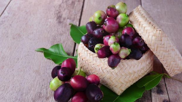 ilustrasi buah jamblang Jambolan plum or Java plum with stem and leaf in bamboo box on wooden background.