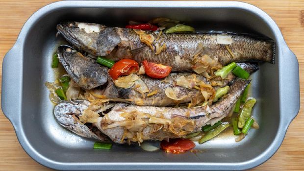 Ikan murrel (Chevron Snakehead) kukus utuh dengan cabai, bawang putih dan minyak wijen