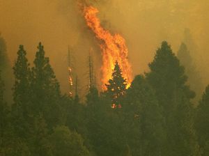 Anak Kelahiran 2020 Hadapi Krisis Iklim Terbesar? Begini Datanya