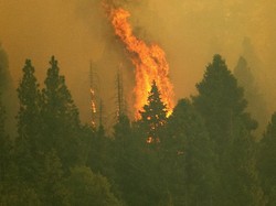 Anak Kelahiran 2020 Hadapi Krisis Iklim Terbesar? Begini Datanya