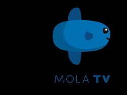 Polisi Tetapkan 6 Tersangka Penjual Set Top Box Mola yang Diduga Bajak Konten