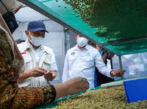 Petani Diajak Gabung ke Koperasi, Dapat Apa?