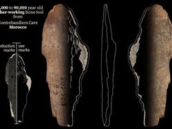 Terungkap! Awal Mula Manusia Purba Enggak Lagi Telanjang