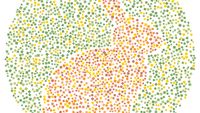 Tes Buta Warna, Bisakah Tebak Semua Hewan dalam Gambar Ini?