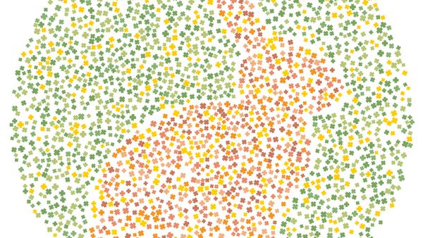 Tes Buta Warna, Bisakah Tebak Semua Hewan dalam Gambar Ini?