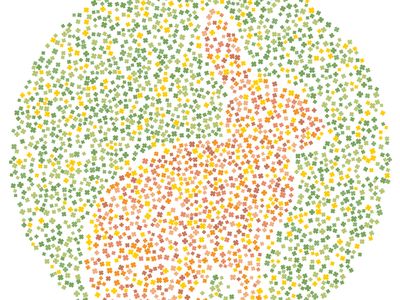 Tes Buta Warna, Bisakah Tebak Semua Hewan dalam Gambar Ini?