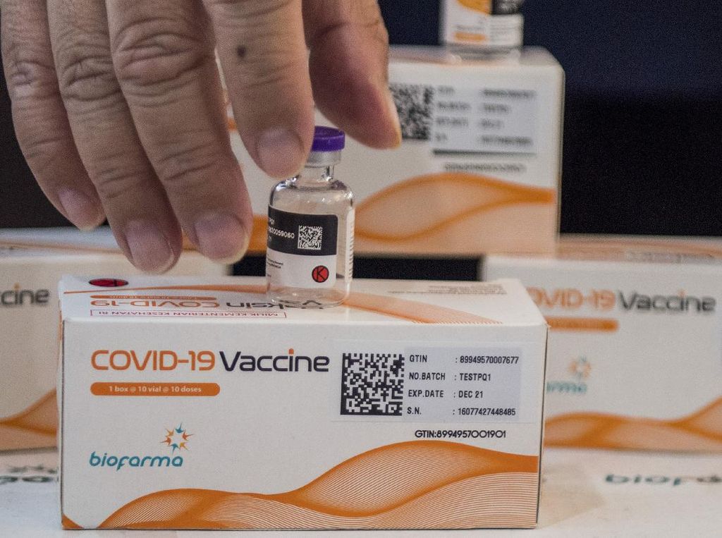 Vaksin Bio Farma dan Sinovac Apakah Sama? Ini yang Perlu Diketahui
