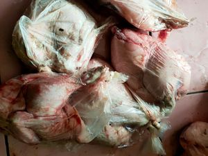 Dinsos Bandung Barat Selidiki Sembako Ayam-Telur Busuk Dinsos Bandung Barat Selidiki Sembako Ayam-Telur Busuk