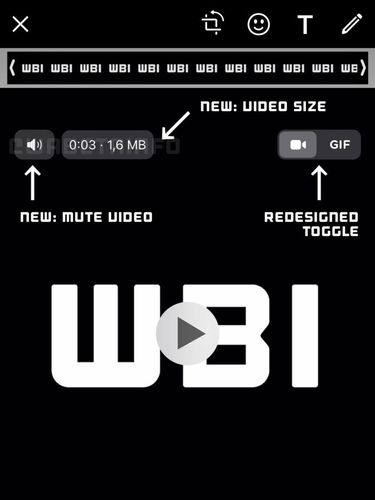Fitur mute video di WhatsApp iOS