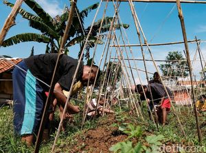 ODGJ Adalah: Gejala, Penyebab, dan Penanganan yang Tepat