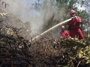 Jurus KLHK Cegah Karhutla, dari Patroli Terpadu-Modifikasi Cuaca