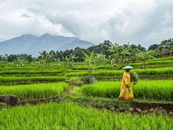 Disebut Kampung Janda, Warga: Penghinaan!