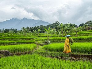 Disebut Kampung Janda, Warga: Penghinaan! Disebut Kampung Janda, Warga: Penghinaan!