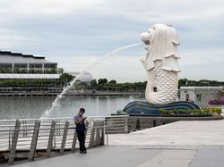 Singapura Wanti-wanti Warganya soal Kabut Asap Imbas Kebakaran Hutan RI