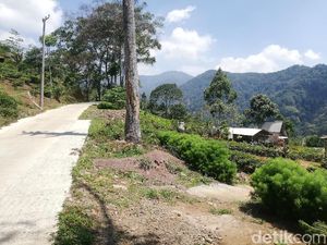 Menikmati Sensasi Alam di Warung Perkebunan Teh Sumedang