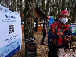 Terapkan Aturan Ganjil Genap, Wisata Pinus Sari Bantul Sepi Pengunjung