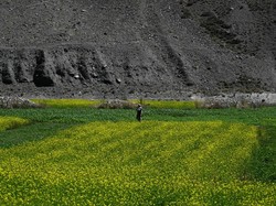Lembah Panjshir yang Perkasa Itu Jadi Kota Hantu Kini