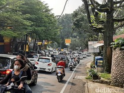 Mau ke Ragunan, Ancol, TMII, dan Puncak Ingat Ada Aturan Ganjil Genap