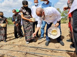 Ketua DPD RI Ingatkan Impor Bukan Solusi untuk Tekan Harga Jagung