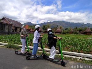Yang Lagi Ngehits di Magelang: Keliling Borobudur Naik Skuter Yang Lagi Ngehits di Magelang: Keliling Borobudur Naik Skuter