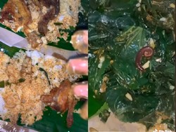 Hiii! Wanita Ini Temukan Kaki Seribu di dalam Bungkus Nasi Padang