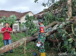 Puting Beliung Terjang 35 Rumah di Banyuwangi