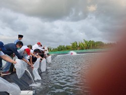 Diresmikan, Tambak Udang Vaname Bisa Dorong Ekonomi Kerakyatan
