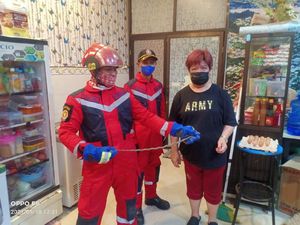 Ular 1 Meter Masuk Rumah Makan di Kota Makassar Bikin Kaget Warga