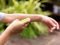 Tips Mencegah dan Mengatasi Demam Berdarah