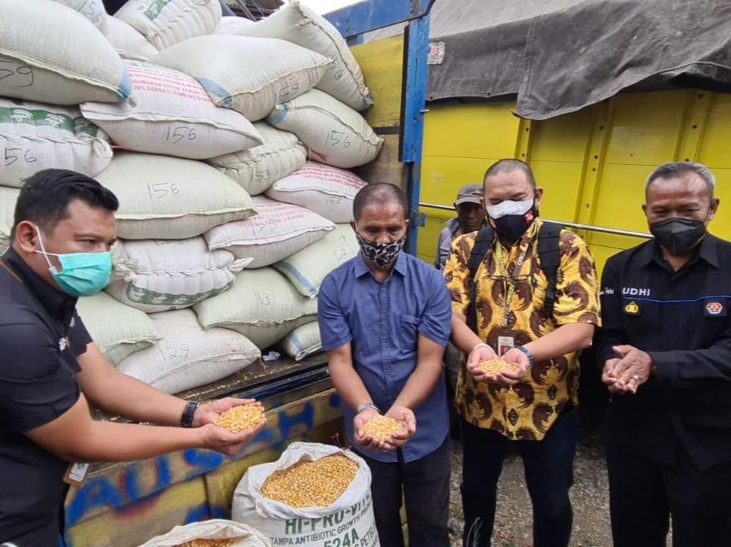 Berapa Banyak Jagung yang Diterima Suroto Langsung dari Jokowi? Berapa Banyak Jagung yang Diterima Suroto Langsung dari Jokowi?