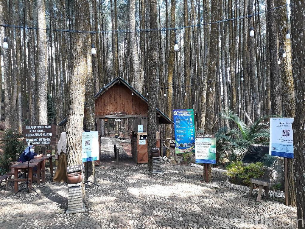 Wisatawan di Kawasan Mangunan Menurun, Imbas Kecelakaan Bus Bukit Bego? Wisatawan di Kawasan Mangunan Menurun, Imbas Kecelakaan Bus Bukit Bego?