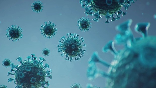 Illustration of the Covid-19 virus/ Photo: Freepik.com
