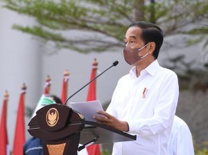 Jokowi: DPD RI sebagai Simpul Utama Persatuan dan Kesatuan