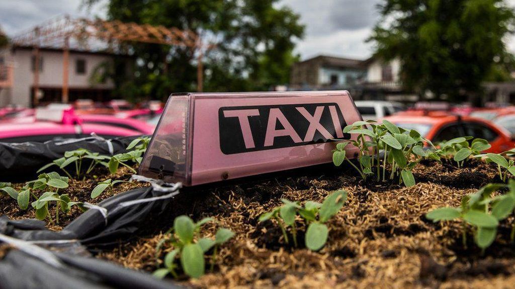 Merana Banget, Taksi-Taksi Ini Jadi Kebun Sayur gegara Tak Ada Turis