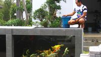 Nggak Biasa, Pagar Rumah Ini Berbentuk Kolam Ikan Koi
