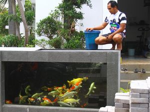 Nggak Biasa, Pagar Rumah Ini Berbentuk Kolam Ikan Koi
