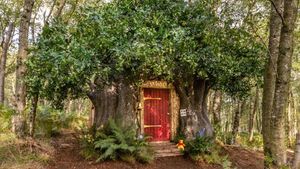 Mau Nyewa Rumah Winnie the Pooh?