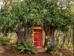 Rumah Pohon Winnie the Pooh Disewakan, Ada yang Kangen?