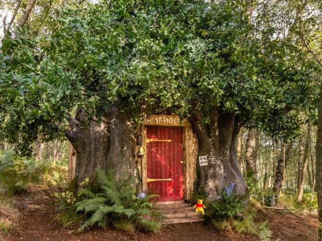 Mau Nyewa Rumah Winnie the Pooh? Mau Nyewa Rumah Winnie the Pooh?