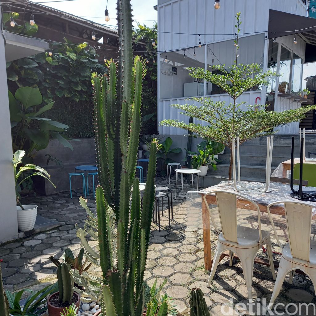 Coffeeshop bertema kebun dan tanaman / kopi febi