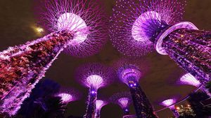 Tengah Berjibaku Lawan Corona, Singapura di Kala Malam Tetap Mempesona