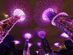 Resesi Seks Berdampak Kelahiran Bayi Menurun, Singapura Kenapa?