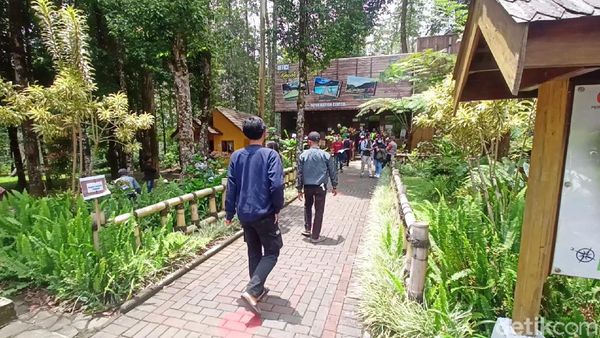 Foto Vaksinasi Asyik di Kawah Putih, Biar Wisatawan Banyak Datang!