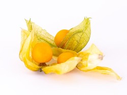 5 Fakta Ciplukan, Buah Eksotis Kaya Manfaat untuk Tingkatkan Imunitas