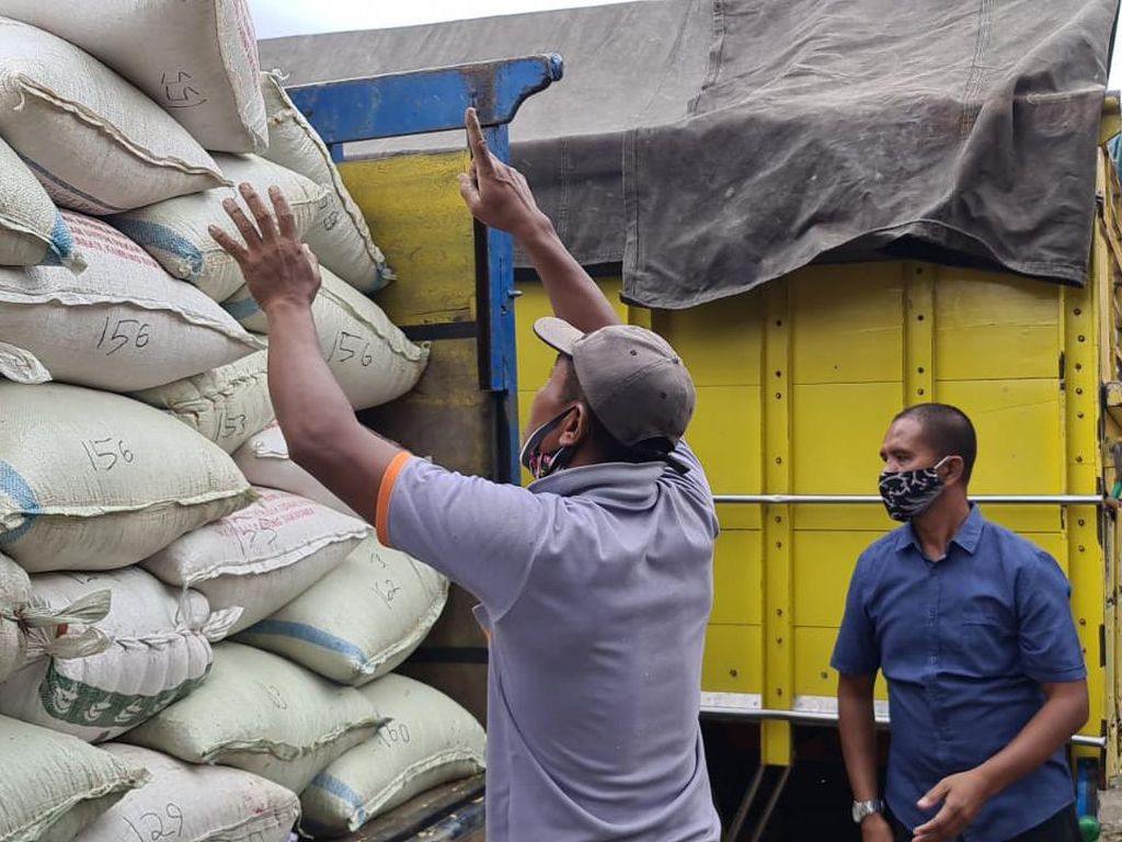Jangan Berhenti, Peternak Blitar Ingin Jokowi Terus Gelontor Bantuan Jagung Jangan Berhenti, Peternak Blitar Ingin Jokowi Terus Gelontor Bantuan Jagung