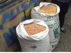 80 Ton Jagung dari Jokowi untuk Peternak Blitar Didistribusikan di 4 Kecamatan