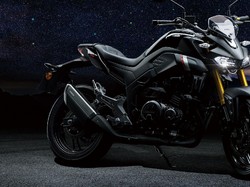 Suzuki GSX-S300 Meluncur, Cocok buat Lawan Yamaha MT-25 di RI?